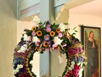DSD_1126+.jpg